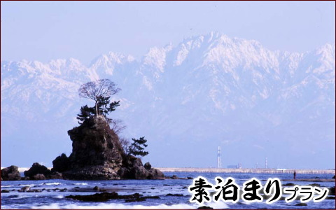 海辺の宿でのんびりと 気ままに楽しむ自分スタイルの旅 最安値♪ 素泊りプラン